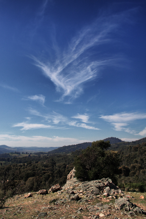 tidbinbilla sky.jpg